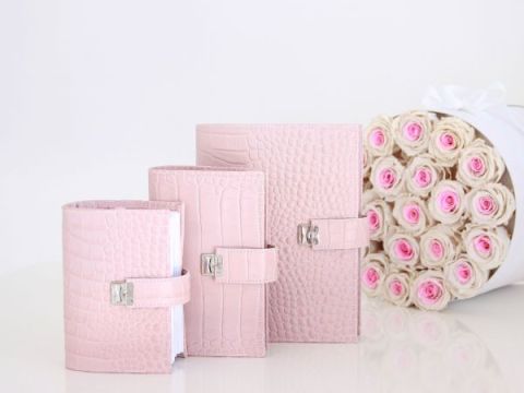 elfenklang_Planer_Kroko rosa.jpg
