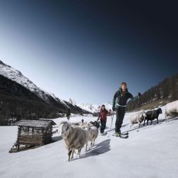 SALEWA_Ewoolution_2015 (2).jpg